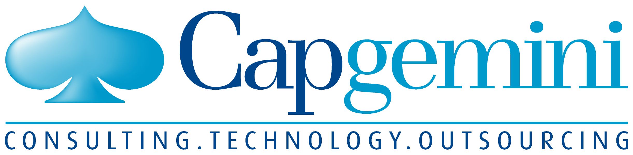 CAPGEMINI TECHNOLOGY SERVICES INDIA LTD